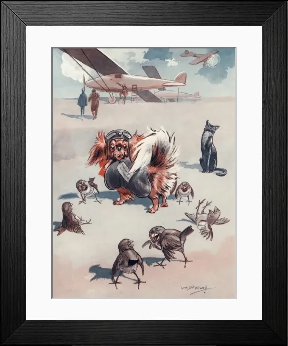 Framed Print : A small dog dressed as a pilot ready for take off Framed Print : A small dog dressed as a pilot ready for take off