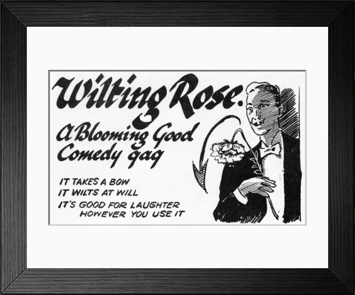 Framed Print : Wilting Rose Framed Print : Wilting Rose
