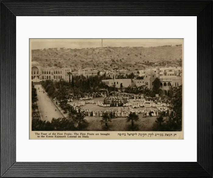 Framed Print : Feast of the First Fruits, Haifa, Israel Framed Print : Feast of the First Fruits, Haifa, Israel