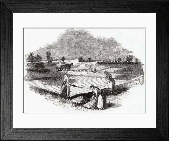 Framed Print : Bleaching Ground at Monteiths Dye Works, Glasgow Framed Print : Bleaching Ground at Monteiths Dye Works, Glasgow