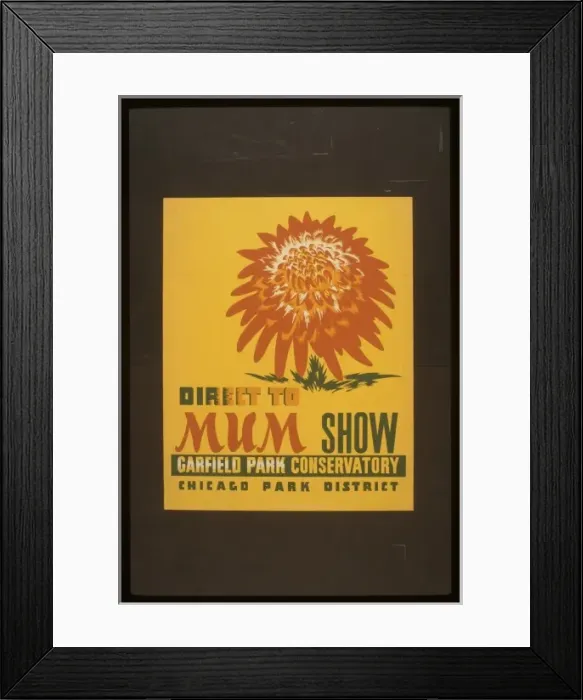 Framed Print : Direct to mum show, Garfield Park Conservatory Framed Print : Direct to mum show, Garfield Park Conservatory