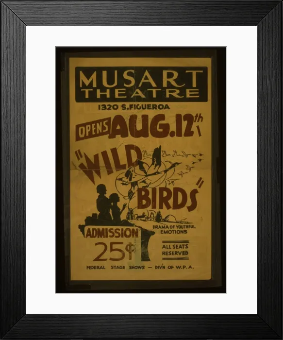 Framed Print : Wild birds Drama of youthful emotions Wild birds Drama of yo Framed Print : Wild birds Drama of youthful emotions Wild birds Drama of yo