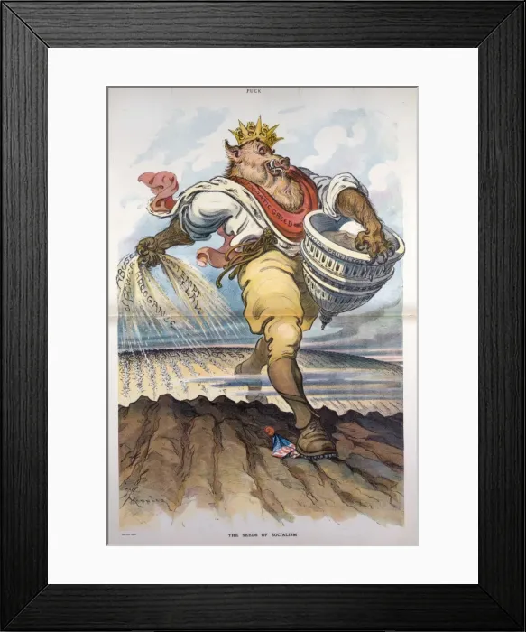 Framed Print : The seeds of socialism Framed Print : The seeds of socialism
