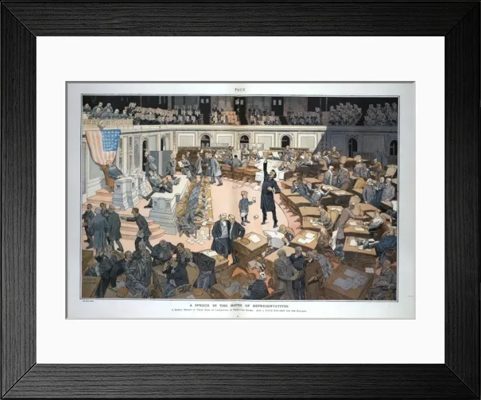 Framed Print : A speech in the House of Representatives Framed Print : A speech in the House of Representatives