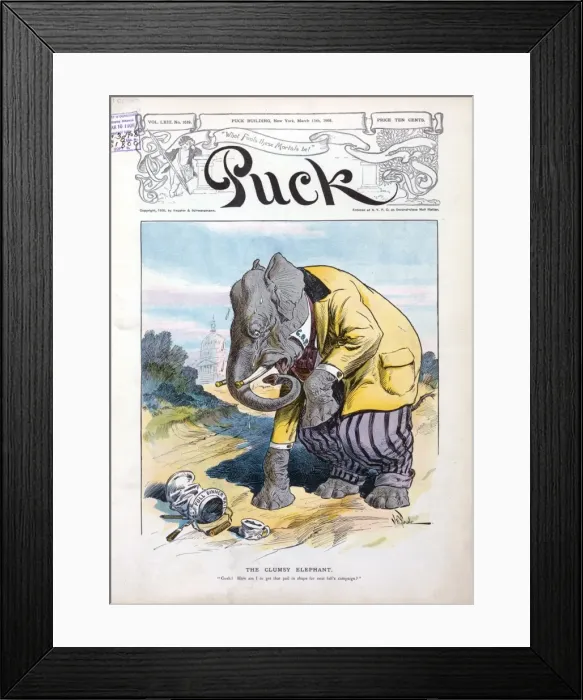 Framed Print : The clumsy elephant Framed Print : The clumsy elephant