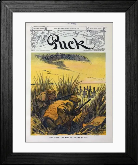 Framed Print : They know the kind of decoys to use Framed Print : They know the kind of decoys to use