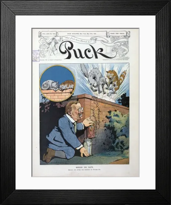 Framed Print : Rough on cats Framed Print : Rough on cats