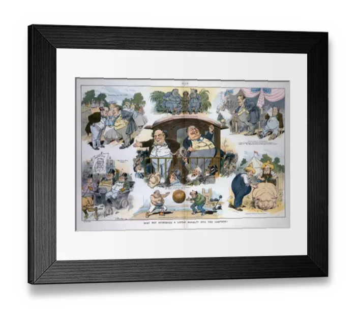 Framed Print : Why not introduce a little novelty into the campaign? Framed Print : Why not introduce a little novelty into the campaign?