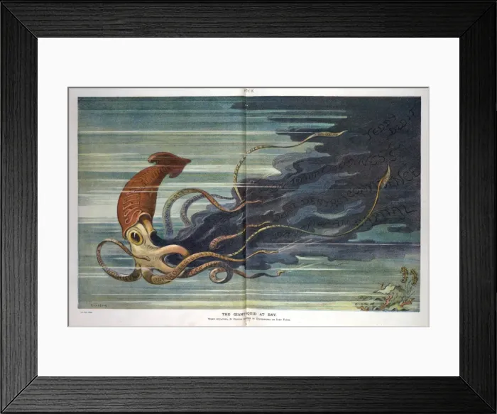 Framed Print : The giant squid at bay Framed Print : The giant squid at bay