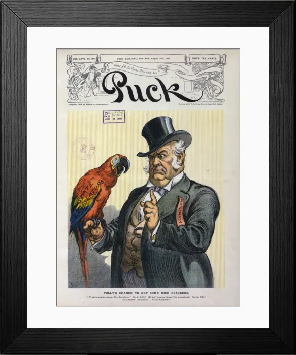 Framed Print : Pollys chance to get some nice crackers Framed Print : Pollys chance to get some nice crackers