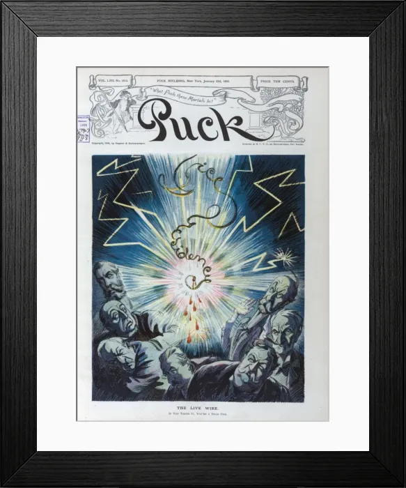 Framed Print : The live wire Framed Print : The live wire