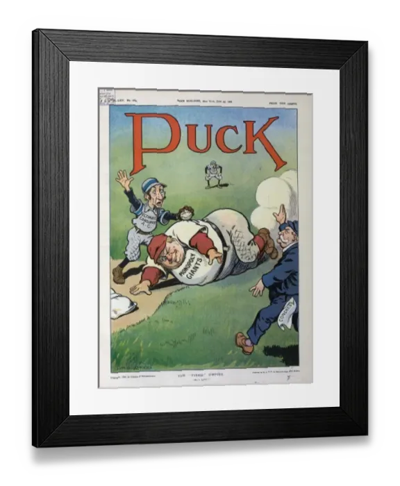 Framed Print : The fixed umpire Framed Print : The fixed umpire