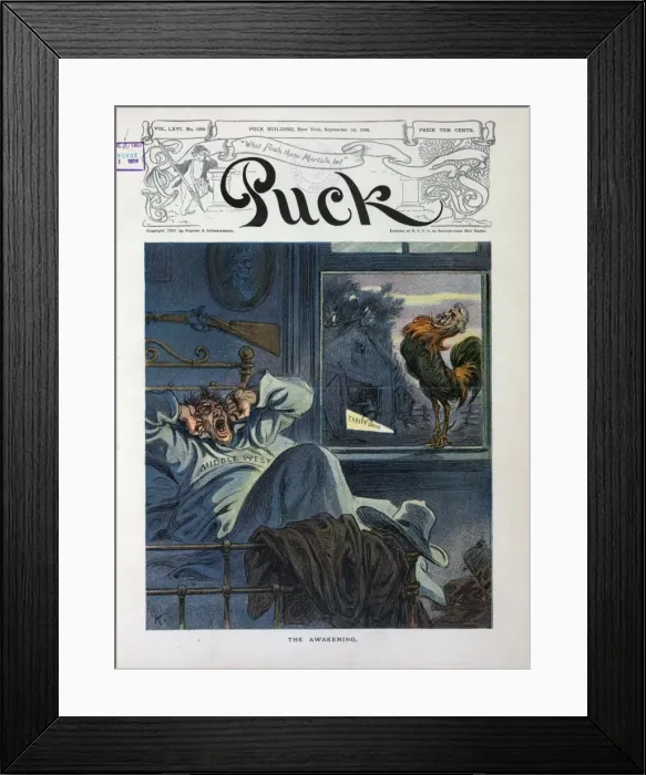 Framed Print : The awakening Framed Print : The awakening