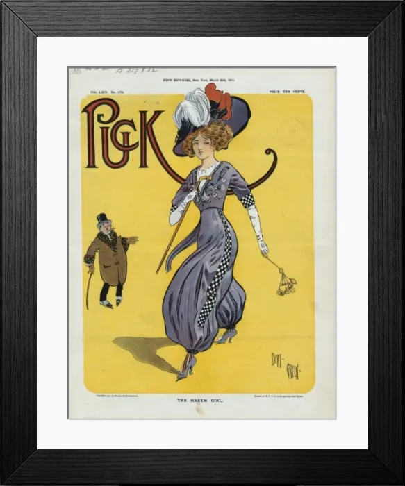 Framed Print : The harem girl Framed Print : The harem girl