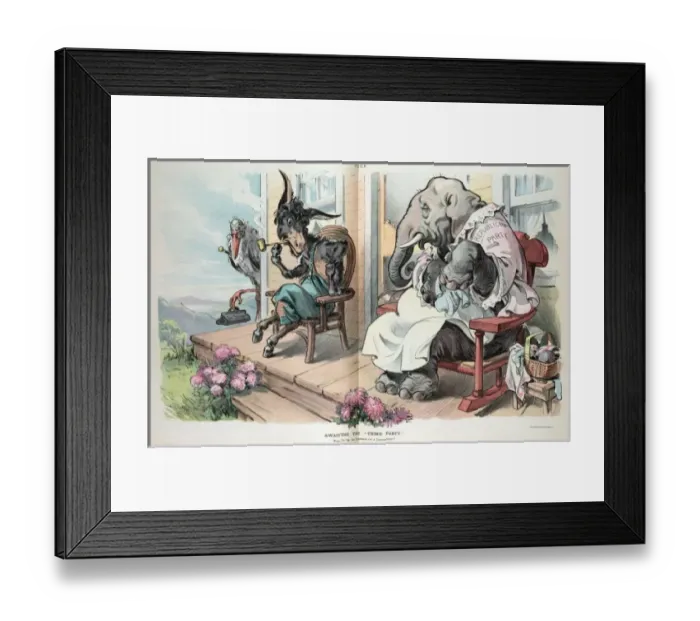 Framed Print : Awaiting the third party Framed Print : Awaiting the third party