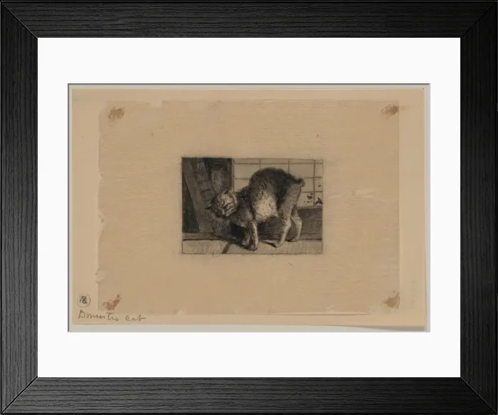 Framed Print : Domestic cat Framed Print : Domestic cat