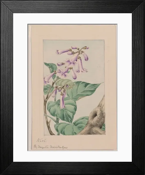 Framed Print : Kiri branch with flowers and leaves Framed Print : Kiri branch with flowers and leaves