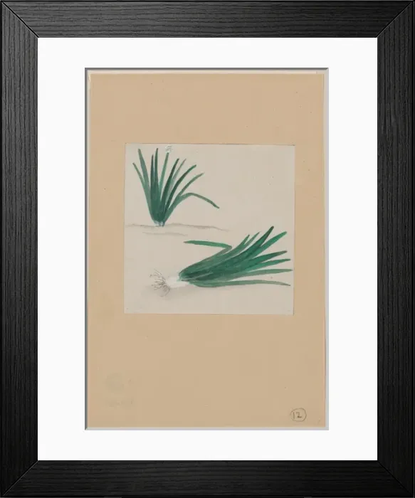 Framed Print : Scallions with plant growing in the background Framed Print : Scallions with plant growing in the background