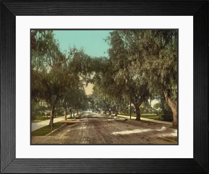 Framed Print : Marengo Avenue, Pasadena, California Framed Print : Marengo Avenue, Pasadena, California