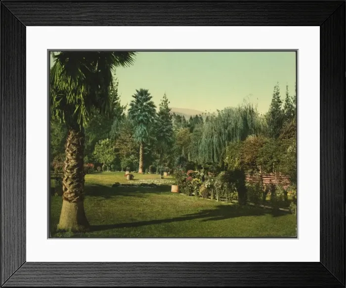 Framed Print : Lucky Baldwins ranch, Pasadena Framed Print : Lucky Baldwins ranch, Pasadena