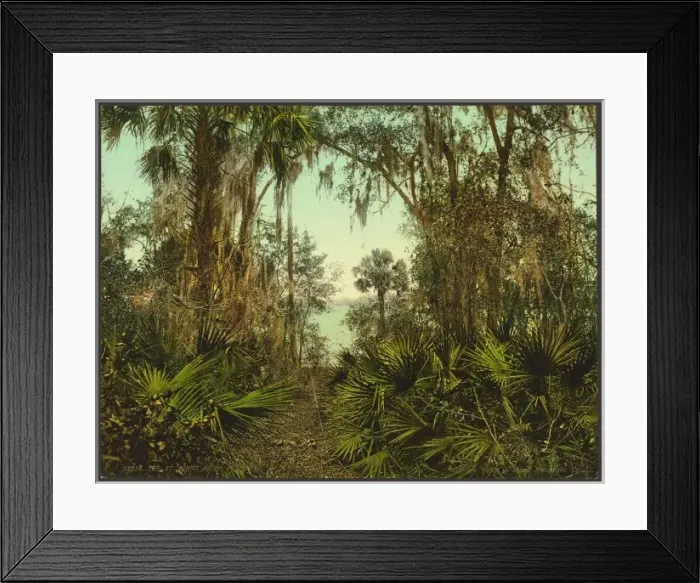 Framed Print : The St. Johns River, Florida Framed Print : The St. Johns River, Florida