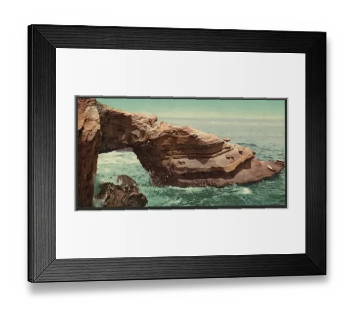 Framed Print : Alligator Head, La Jolla Framed Print : Alligator Head, La Jolla