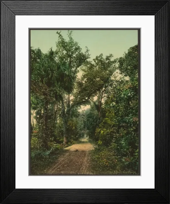 Framed Print : In the Ormond Hammock Framed Print : In the Ormond Hammock