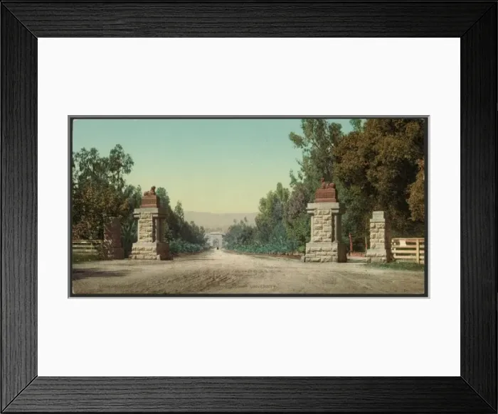 Framed Print : Main entrance and driveway, Leland Standford Junior Universi Framed Print : Main entrance and driveway, Leland Standford Junior Universi