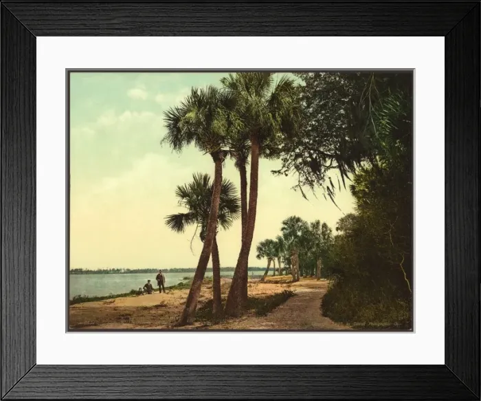 Framed Print : Scene; Indian River, Florida Framed Print : Scene; Indian River, Florida