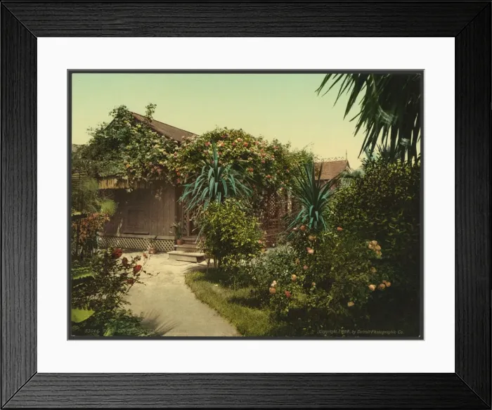 Framed Print : Rose-covered cottage, Pasadena Framed Print : Rose-covered cottage, Pasadena