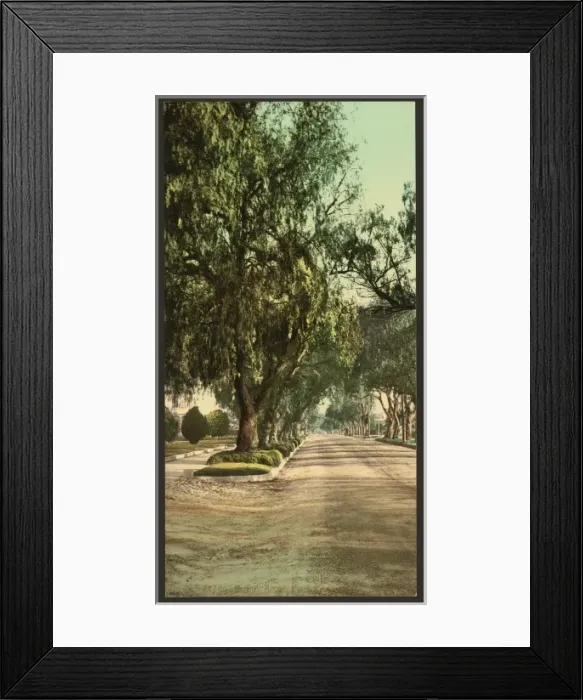 Framed Print : Marengo Avenue, Pasadena Framed Print : Marengo Avenue, Pasadena