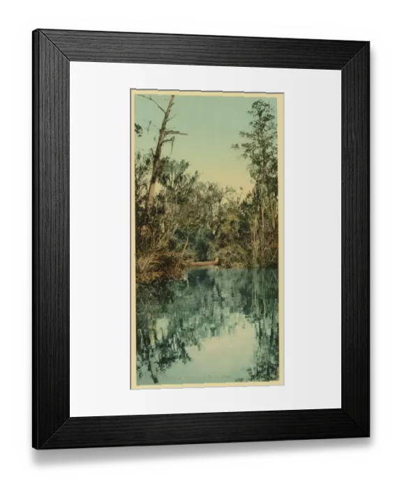 Framed Print : Florida. Tributary of the St. Johns Framed Print : Florida. Tributary of the St. Johns