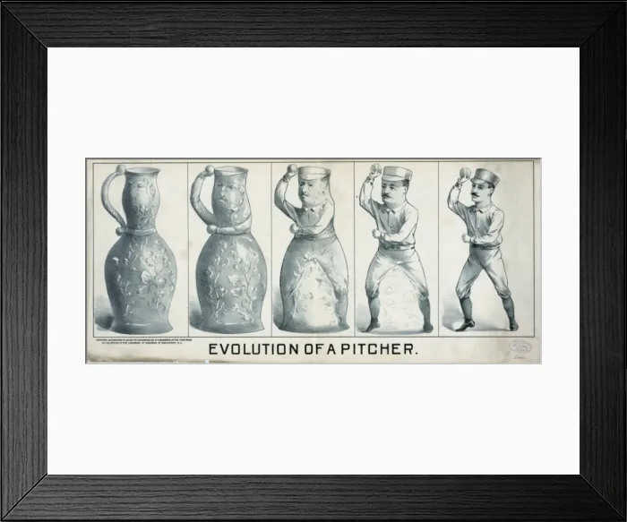 Framed Print : Evolution of a pitcher