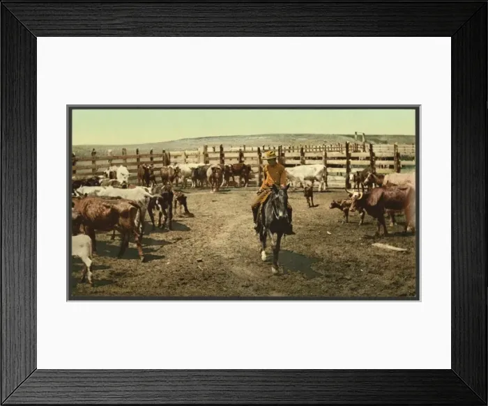 Framed Print : Colorado. Round up in the corral Colorado. Round up in the c Framed Print : Colorado. Round up in the corral Colorado. Round up in the c