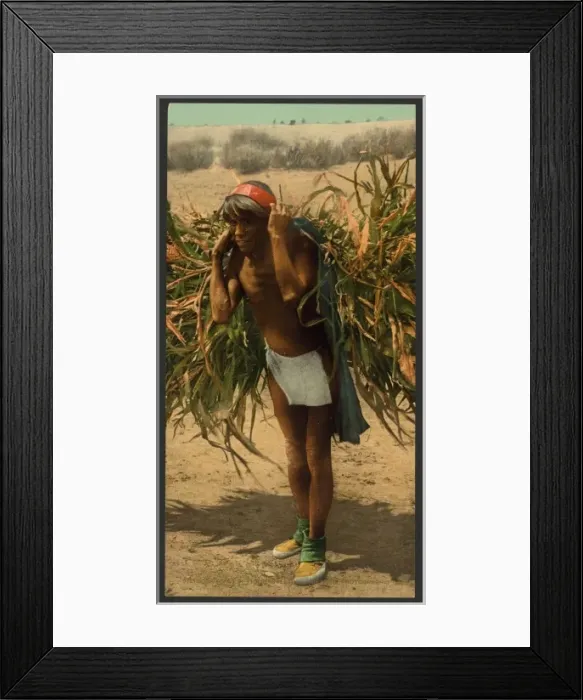 Framed Print : Bringing in the harvest Framed Print : Bringing in the harvest