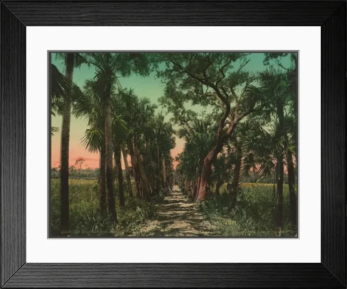 Framed Print : Old causeway near Ormond Framed Print : Old causeway near Ormond