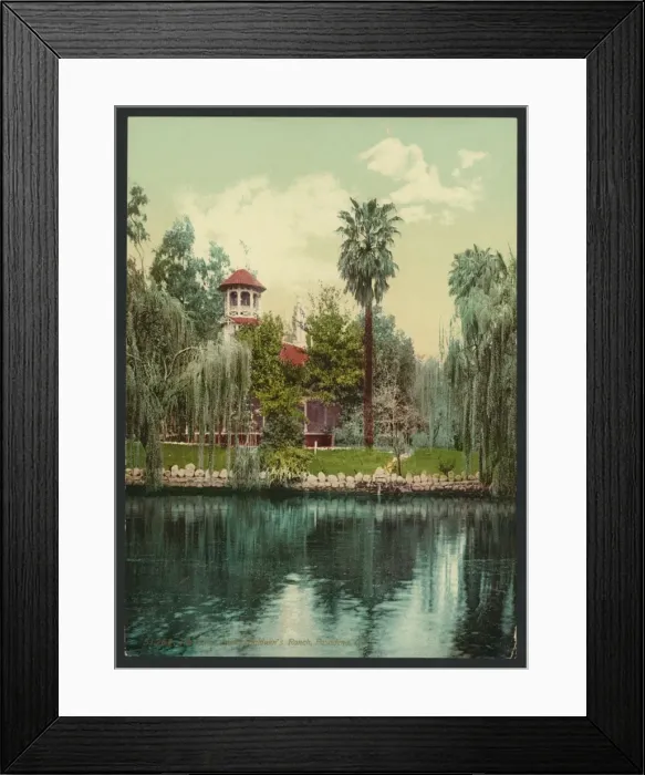 Framed Print : The lake, Lucky Baldwins ranch, Pasadena, Cal Framed Print : The lake, Lucky Baldwins ranch, Pasadena, Cal