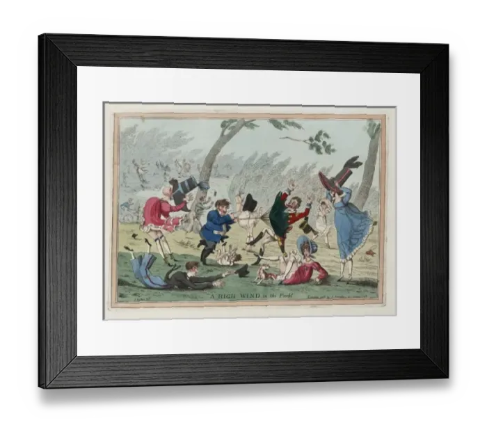 Framed Print : A high wind in the park Framed Print : A high wind in the park