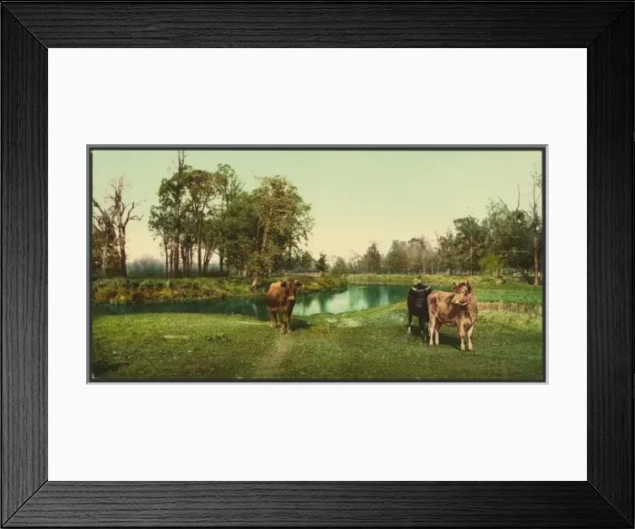 Framed Print : A pleasant pasture Framed Print : A pleasant pasture