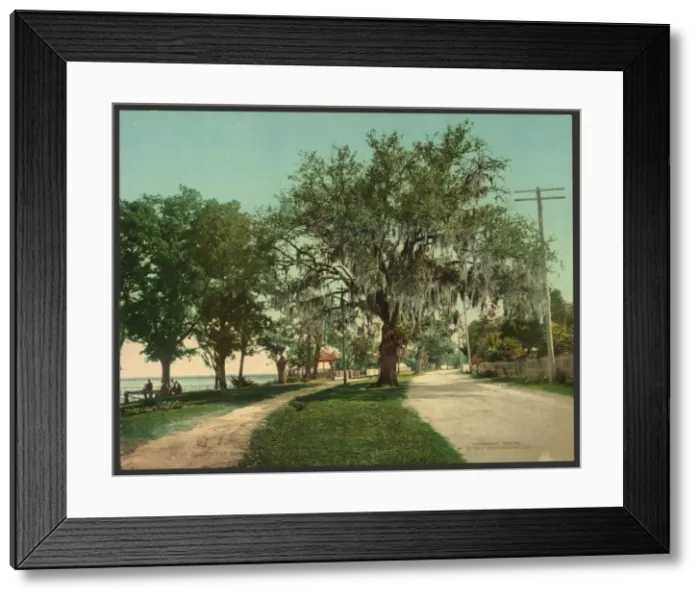 Framed Print : Along the bay, Bay St. Louis, Miss Framed Print : Along the bay, Bay St. Louis, Miss