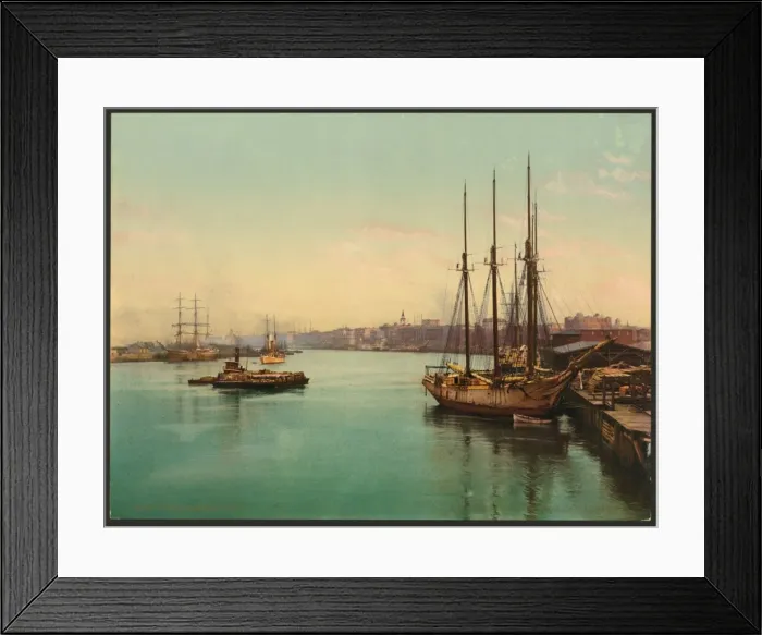 Framed Print : The Savannah River Framed Print : The Savannah River