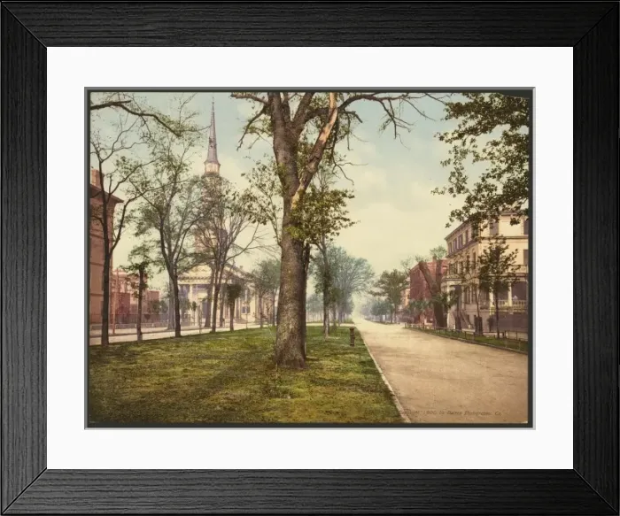 Framed Print : Oglethorpe Avenue, Savannah Framed Print : Oglethorpe Avenue, Savannah