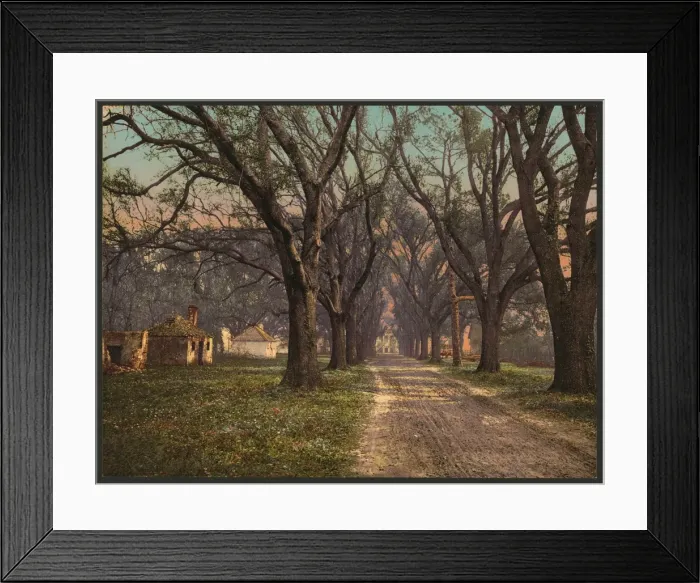 Framed Print : The Hermitage, Savannah