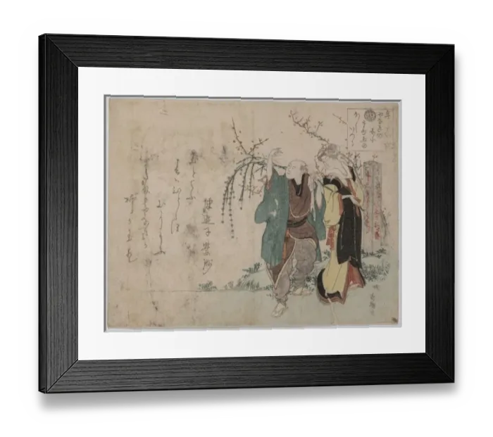 Framed Print : Four: cottonballs blooming on a willow Framed Print : Four: cottonballs blooming on a willow