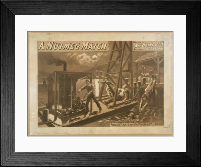 Framed Print : A nutmeg match Framed Print : A nutmeg match