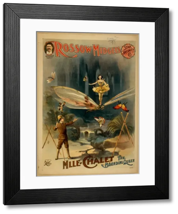 Framed Print : Rossow Midgets, Star Speciality Co Framed Print : Rossow Midgets, Star Speciality Co