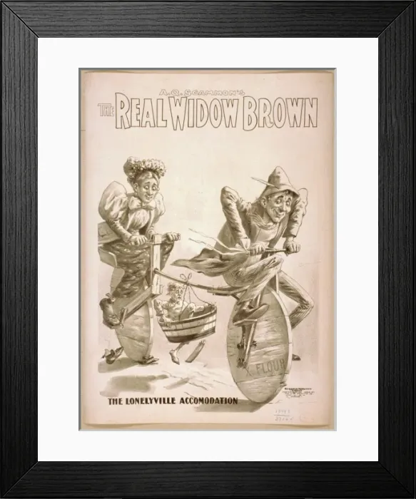 Framed Print : AQ Scammons The real Widow Brown Framed Print : AQ Scammons The real Widow Brown