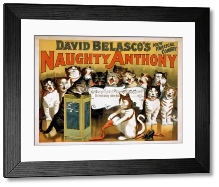 Framed Print : David Belascos new farcical comedy, Naughty Anthony Framed Print : David Belascos new farcical comedy, Naughty Anthony