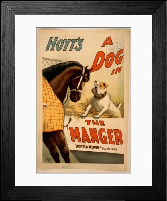 Framed Print : Hoyts A dog in the manger Framed Print : Hoyts A dog in the manger