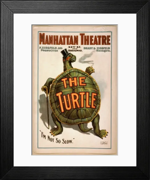 Framed Print : The turtle F. Ziegfeld Jrs production Framed Print : The turtle F. Ziegfeld Jrs production